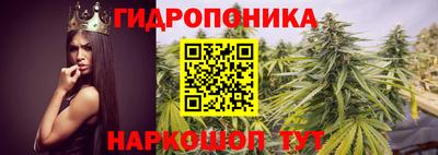 ALPHA PVP Ставрополь