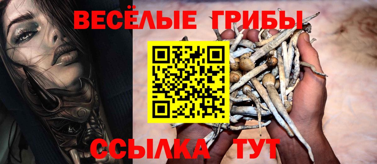 Псилоцибиновые грибы мицелий Нерюнгри